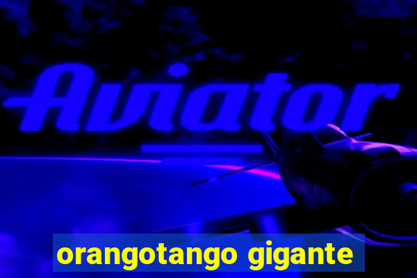 orangotango gigante